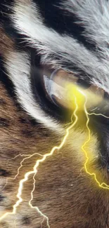 Tiger eye with lightning bolt, dynamic phone wallpaper.