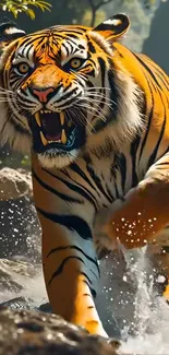 Tiger Felidae Bengal Tiger Live Wallpaper