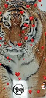 Vibrant tiger with red hearts on fur in a winter setting.