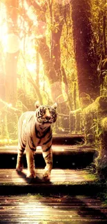 Tiger walks on a sunlit forest path surrounded by green foliage.