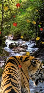 Tiger near forest creek with lush greenery background.