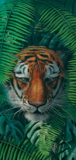 Majestic tiger head peering through lush green jungle leaves.