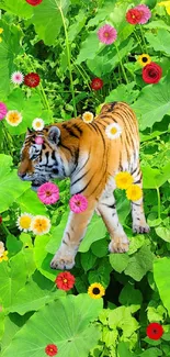 Tiger standing amidst vibrant green leaves.