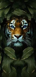 Majestic tiger peering through lush green jungle leaves on mobile wallpaper.