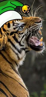 Tiger wearing a Santa hat in a natural setting.