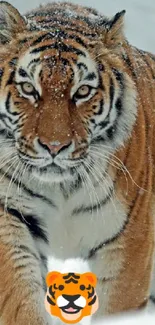 Majestic tiger walking through snowy landscape, stunning mobile wallpaper.