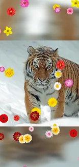 Tiger walking in snow surrounded by colorful flowers.