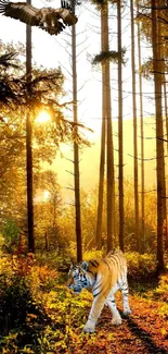 Tiger walking through a sunlit forest path.