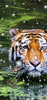 Tiger swimming in a lush green pond with vibrant colors.