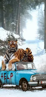 Tiger lying on a car in a snowy forest.