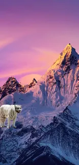 Tiger stands proudly on a snow-capped mountain at sunset, with a purple sky backdrop.