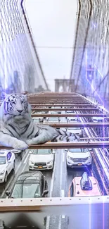 White tiger resting on a city bridge with cars below.