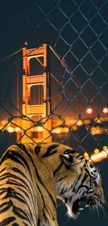 Majestic tiger with a glowing urban bridge at night.