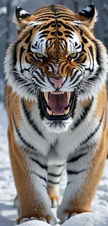 Tiger Walking In The Snow Live Wallpaper