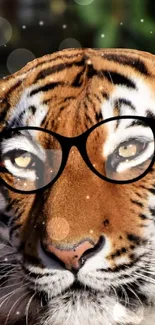 Tiger wearing glasses with a playful twist.