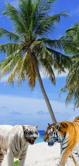 Tigers wander a tropical beach under palm trees and blue skies.