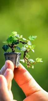 Hand holding a tiny potted plant with a green background.