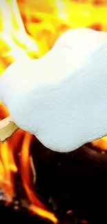 Toasted marshmallow held over a roaring campfire.