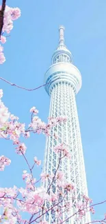 Tokyo Skytree with cherry blossoms under a blue sky wallpaper.