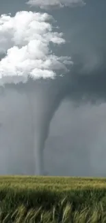 Tornado swirling under dramatic clouds in an open field.