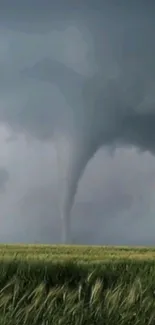 Wallpaper of a tornado spiraling over a green field under a gray sky.