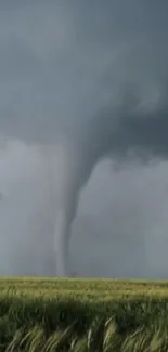 Dramatic tornado swirling over a grassy field under a stormy sky.