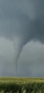 Tornado swirling in open field under a stormy sky.