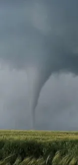 Tornado twisting over green fields under a gray, stormy sky.