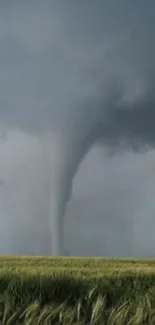 Tornado swirls over vast green fields under a grey sky.