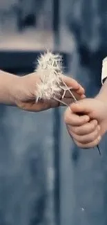 Hands exchanging a single dandelion.