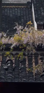 Dark tiled roof with purple wisteria blossoms.