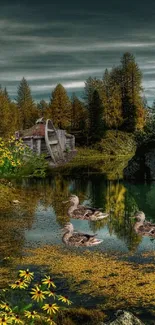 Tranquil autumn lake with ducks and cabin.