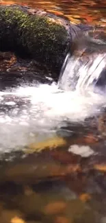 Relaxing autumn waterfall in nature with vibrant fall colors.