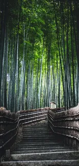 Peaceful path through lush bamboo forest, green hues dominate.