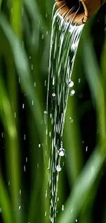 Bamboo waterfall with flowing water and green bamboo backdrop.