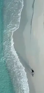 Aerial view of a tranquil beach with turquoise waters and soft sandy shores.