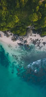 Aerial view of a serene beach with turquoise waters and lush green surroundings.