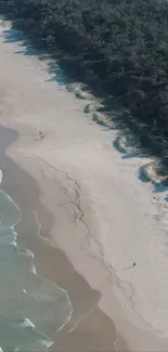 Aerial view of a tranquil beach and ocean waves meeting the sandy shore.