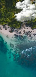 Aerial view of a pristine beach with lush greenery and turquoise waters.