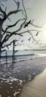 Serene beach wallpaper with tree and birds.