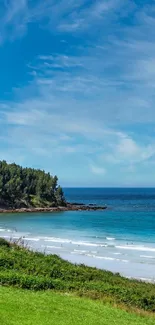 Serene beach with a clear blue sky overlooking the ocean.