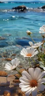 White flowers at beach with clear water.