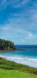 Serene beach with clear sky and lush greenery wallpaper.