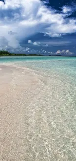 Crystal blue ocean and sandy beach under clear sky wallpaper.