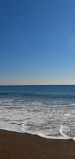 Tranquil beach scene with blue sky and ocean waves.