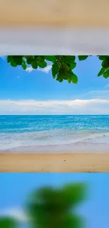 Serene beach with blue ocean and green leaves under a clear sky, perfect for calm settings.