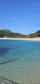 Serene coastal scene with clear blue waters and lush greenery under a bright sky.