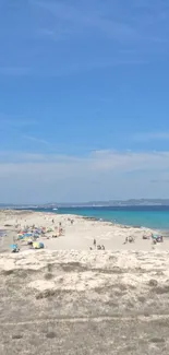 Serene beach with blue sky and ocean