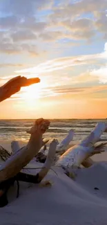 Tranquil beach sunset with driftwood and serene ocean view.