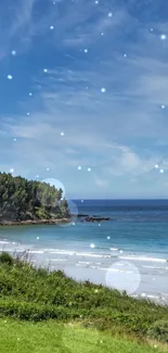 Tranquil beach with clear blue sky and sparkling stars.